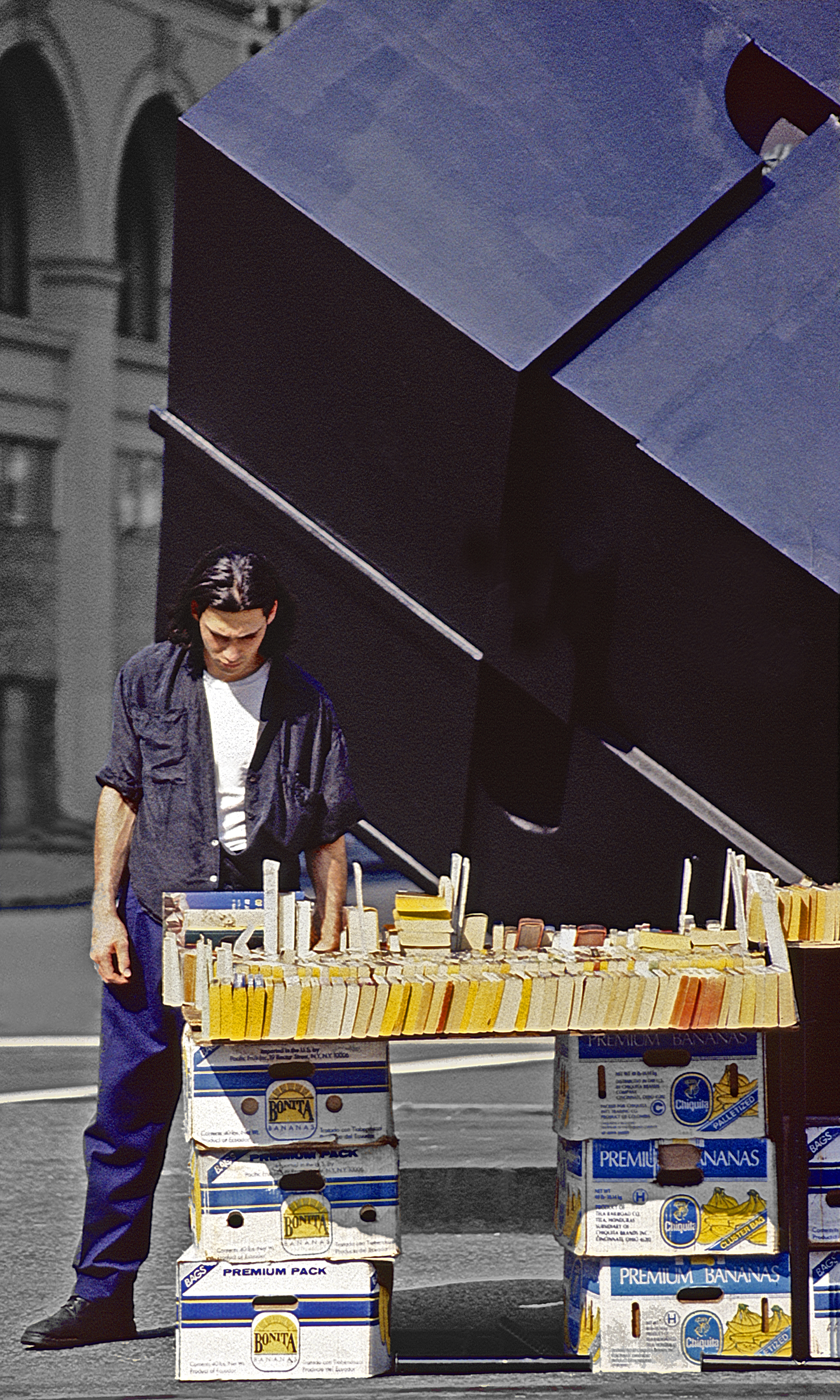 Bookseller and The Cube, Astor Place